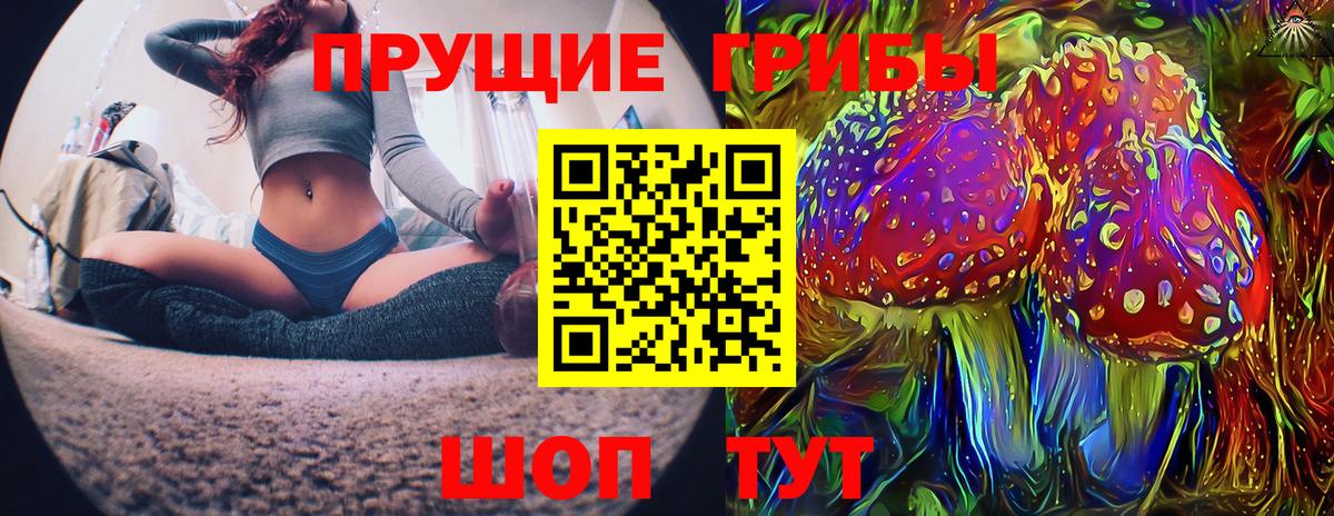 Чапаевск  Псилоцибиновые грибы мицелий  Вход с VPN  Галлюциногенные грибы MAGIC MUSHROOMS 