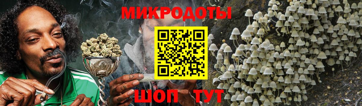 Галлюциногенные грибы Cubensis Чапаевск